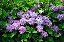image0225