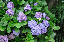 image0227