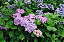 image0228