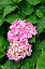 image0229