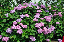 image0230