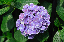 image0231