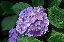 image0232