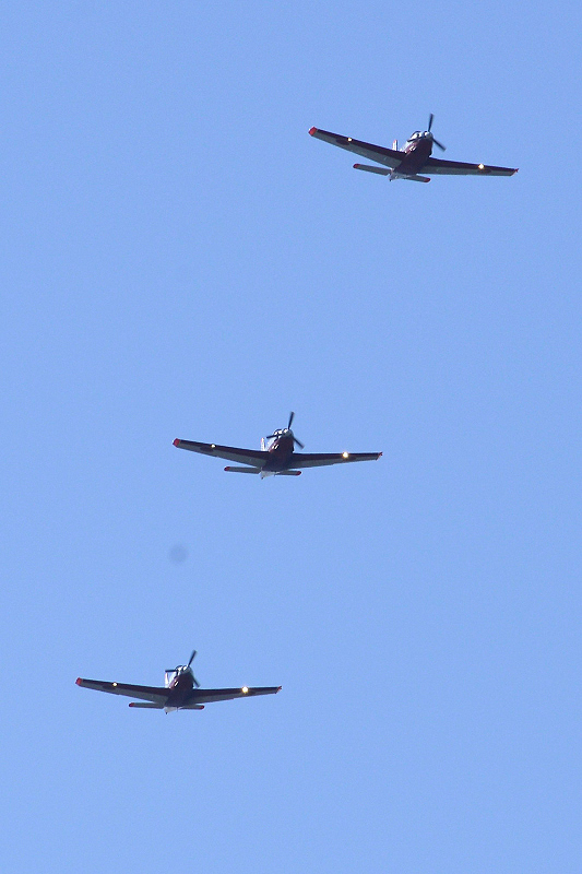 image0336