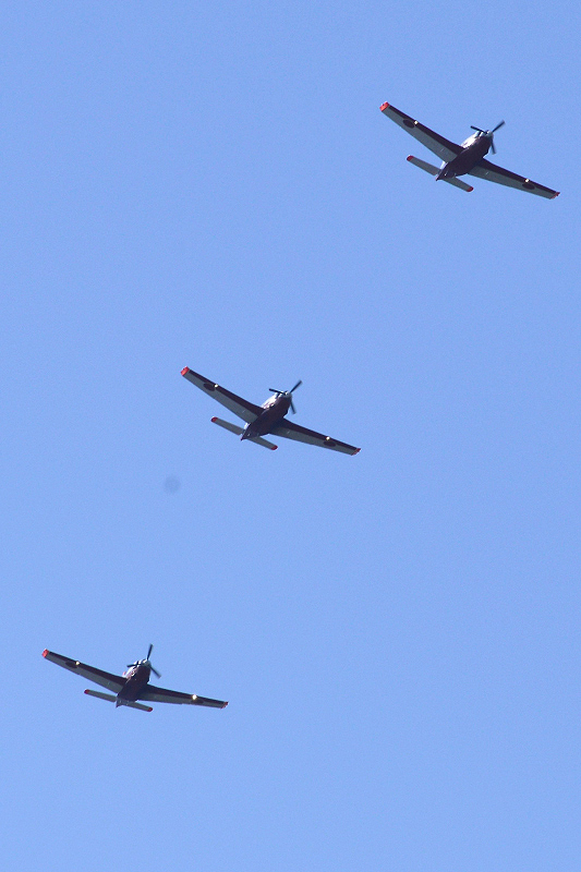 image0338