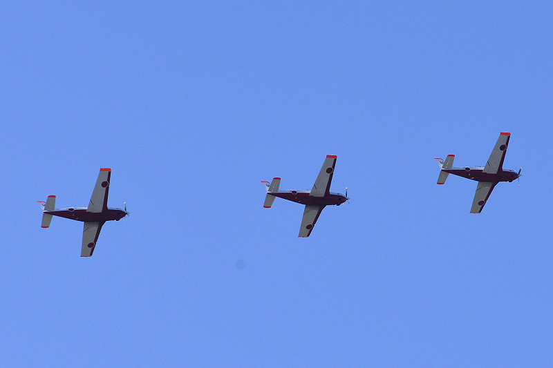 image0349