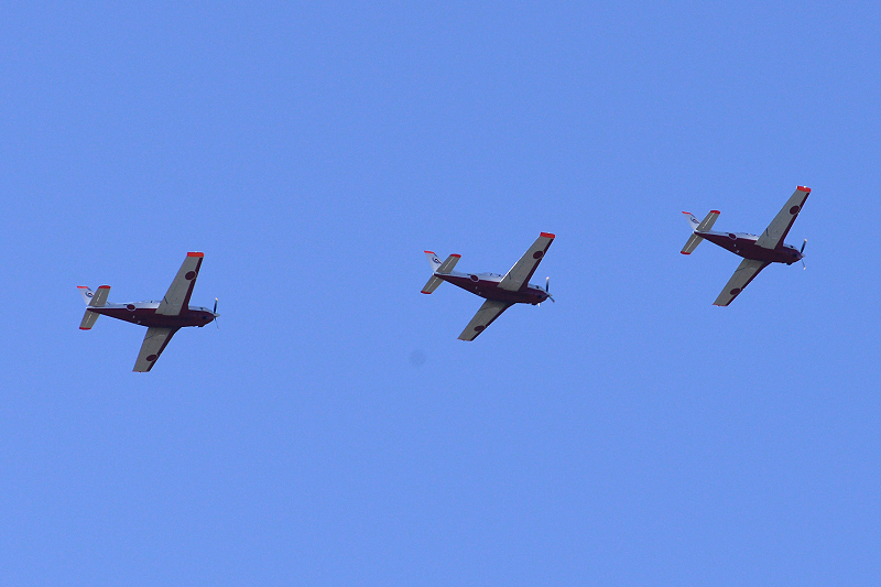 image0350