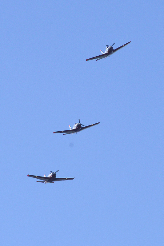 image0384
