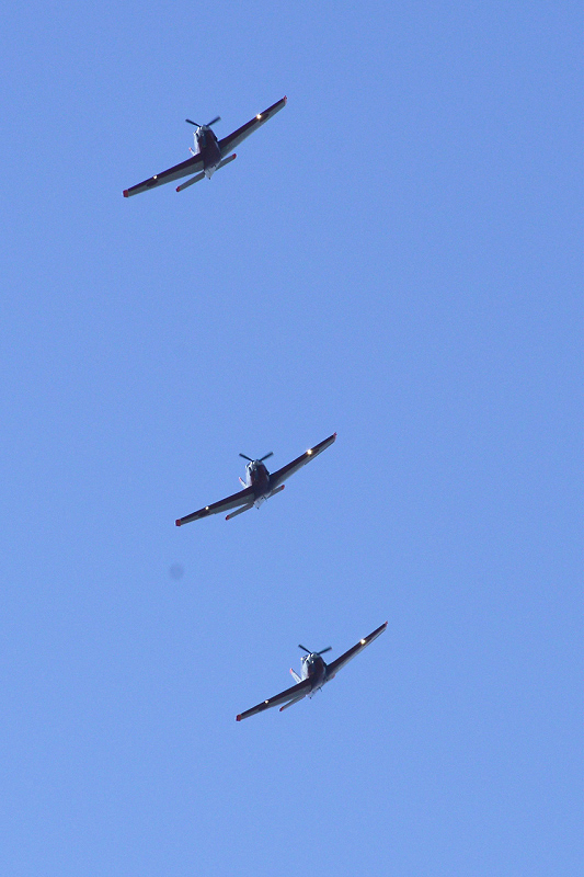 image0386