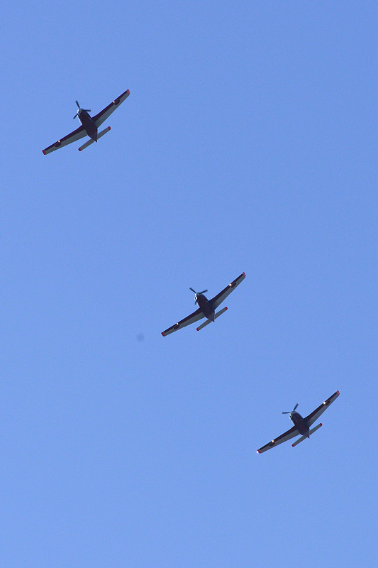 image0388