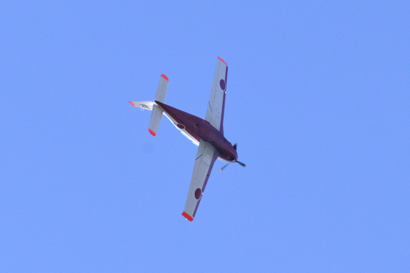 image0483