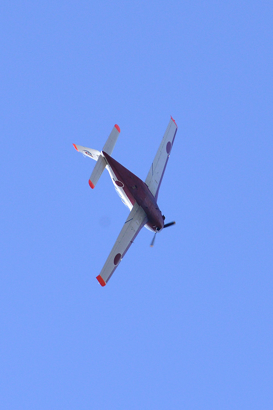 image0484