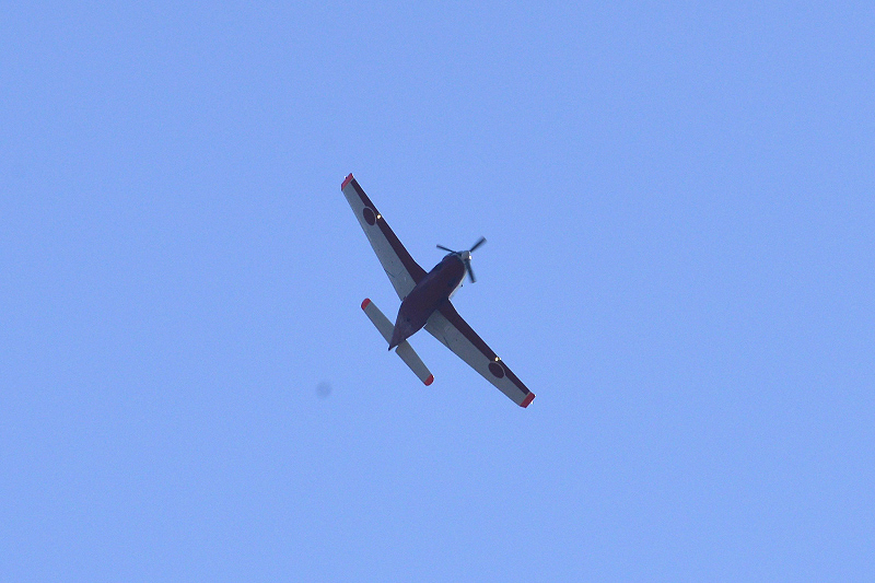 image0494