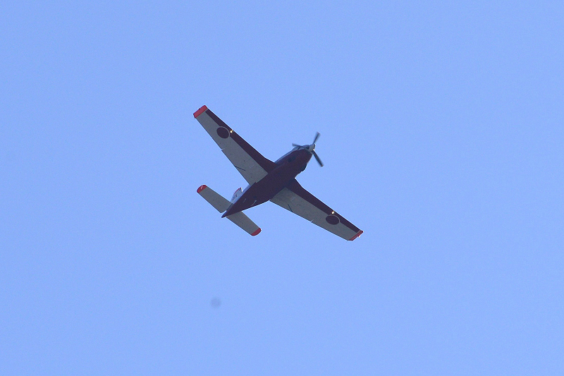 image0495