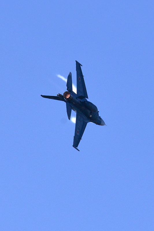 image0564