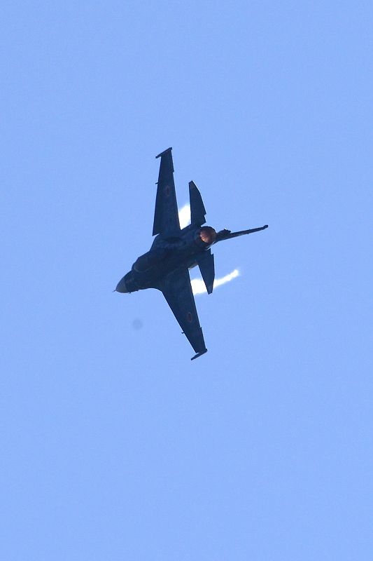 image0595