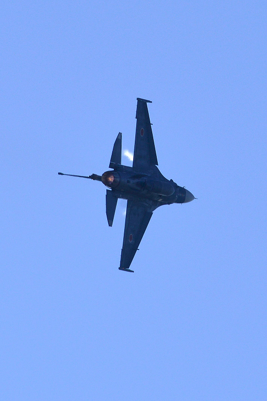 image0646