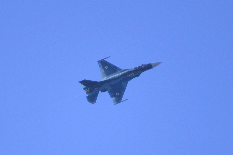image0695