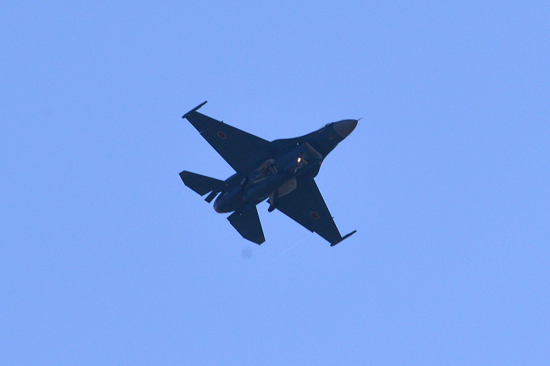 image0769