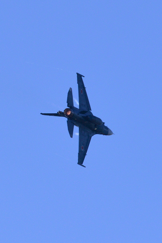 image0781