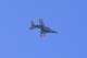 image0159