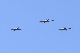 image0215