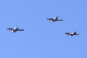 image0220
