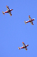 image0232