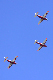 image0236