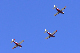 image0238