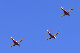 image0239