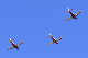 image0240