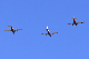image0247