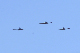 image0263