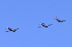 image0301