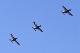 image0342