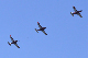 image0343