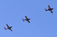 image0344