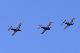 image0351