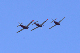 image0355