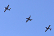image0393
