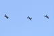 image0404
