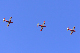 image0440