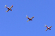 image0442