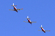 image0447