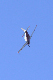 image0485