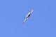 image0487