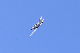image0488