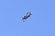 image0489