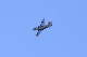image0490